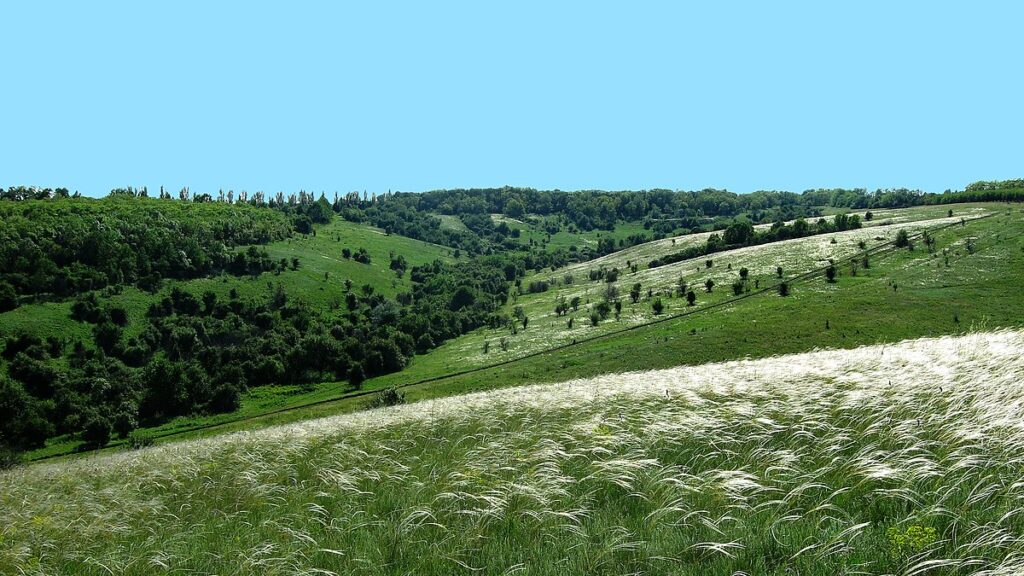 На Кіровоградщині громаді повернуть землі ландшафтного заказника