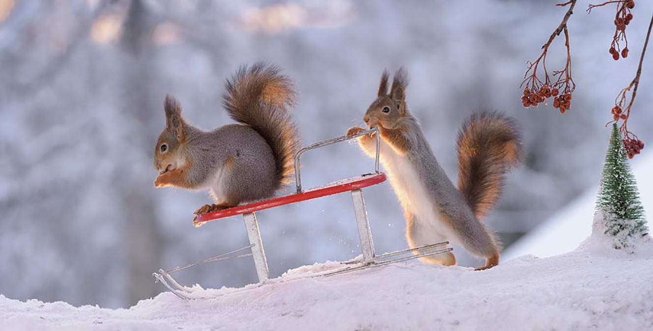 Прогноз погоди на 19 лютого по Кіровоградщині