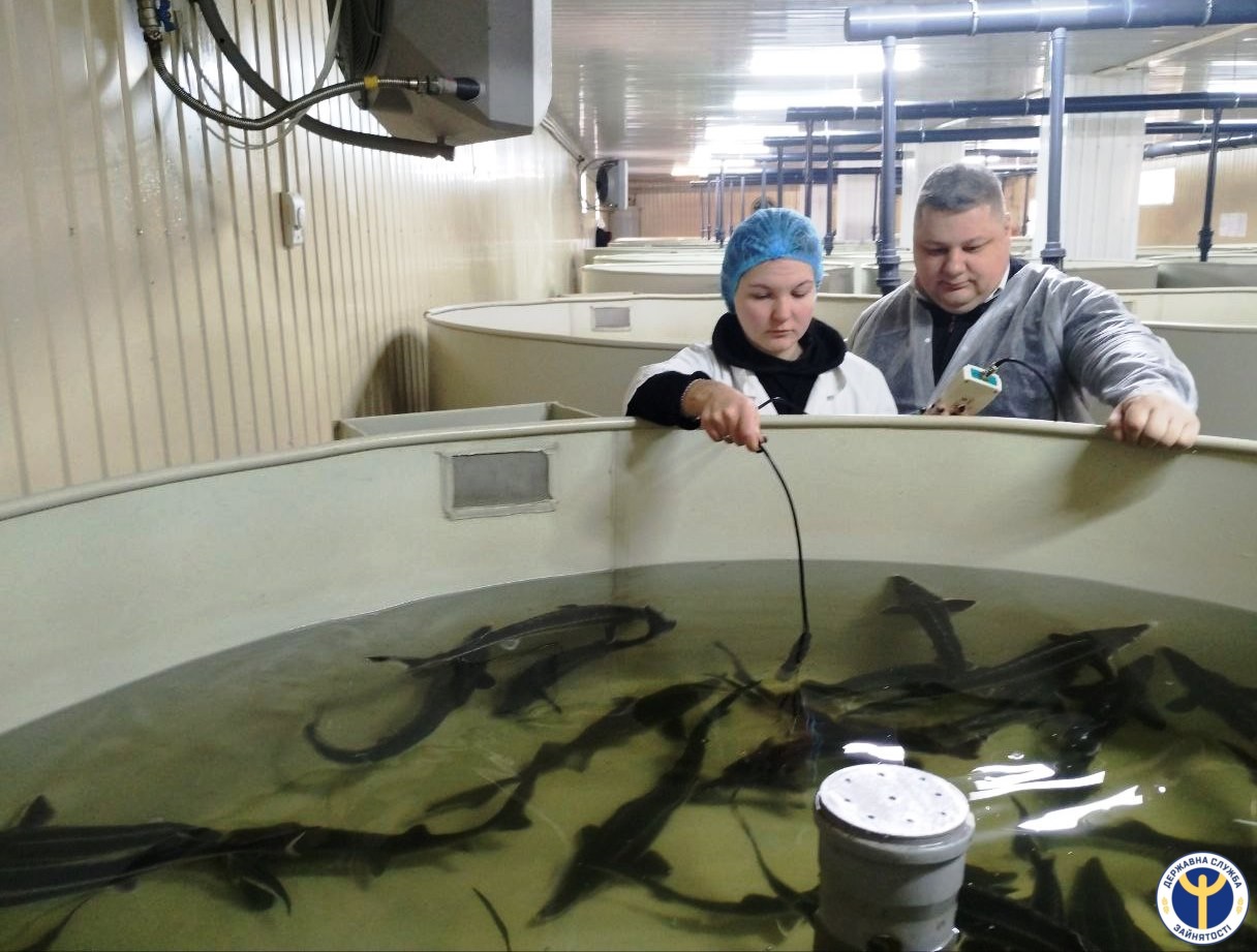 На Кіровоградщині створили єдину в Україні ферму з вирощування осетрів