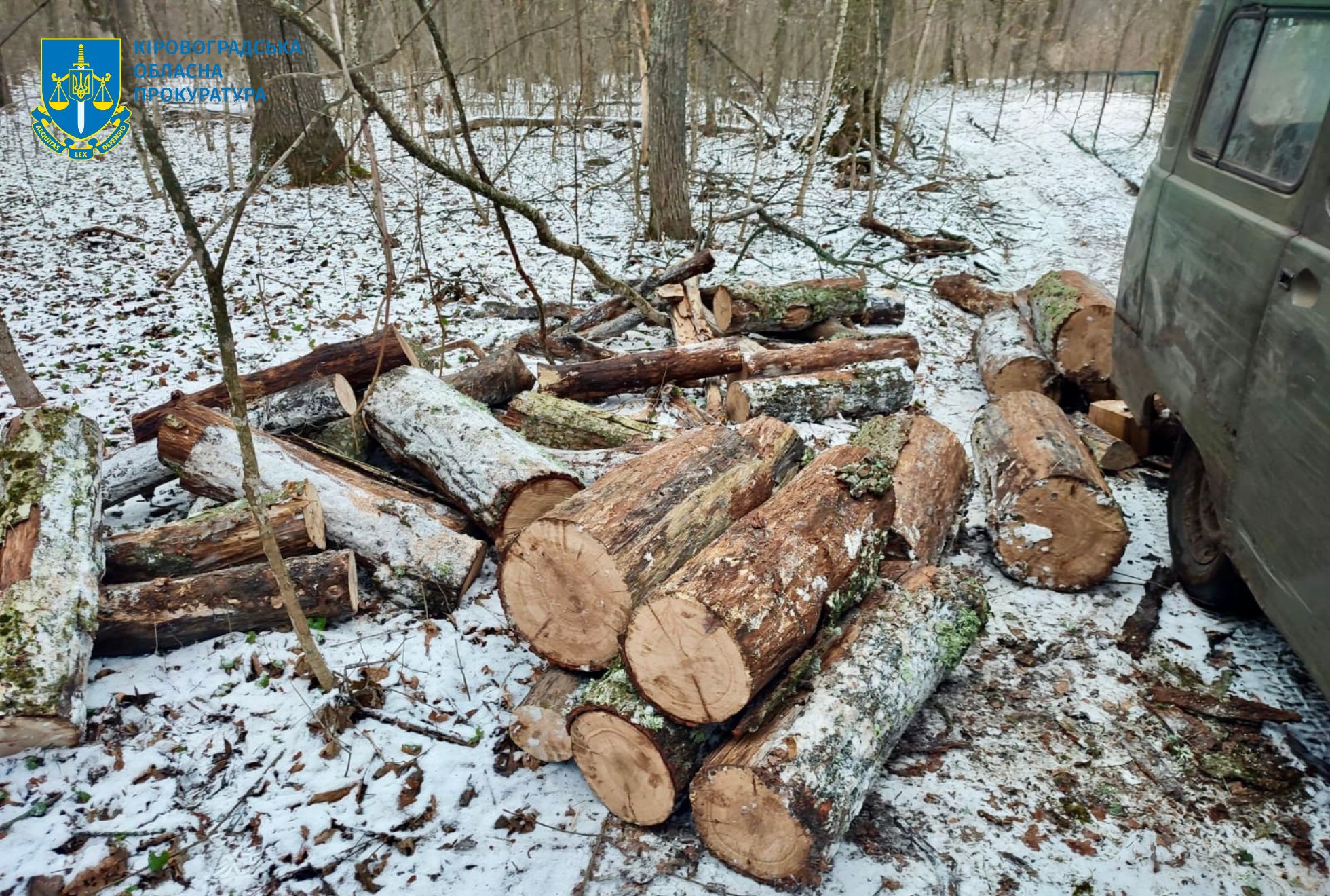 “Чорний” лісоруб отримав від прокурорів Кіровоградщини підозру
