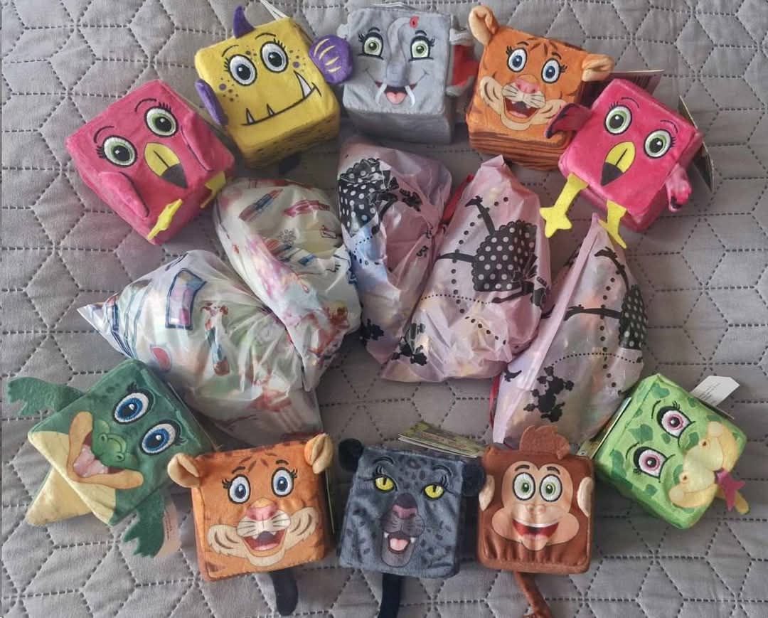 Юнi художницi Кiровоградщини представили свої роботи у Францiї