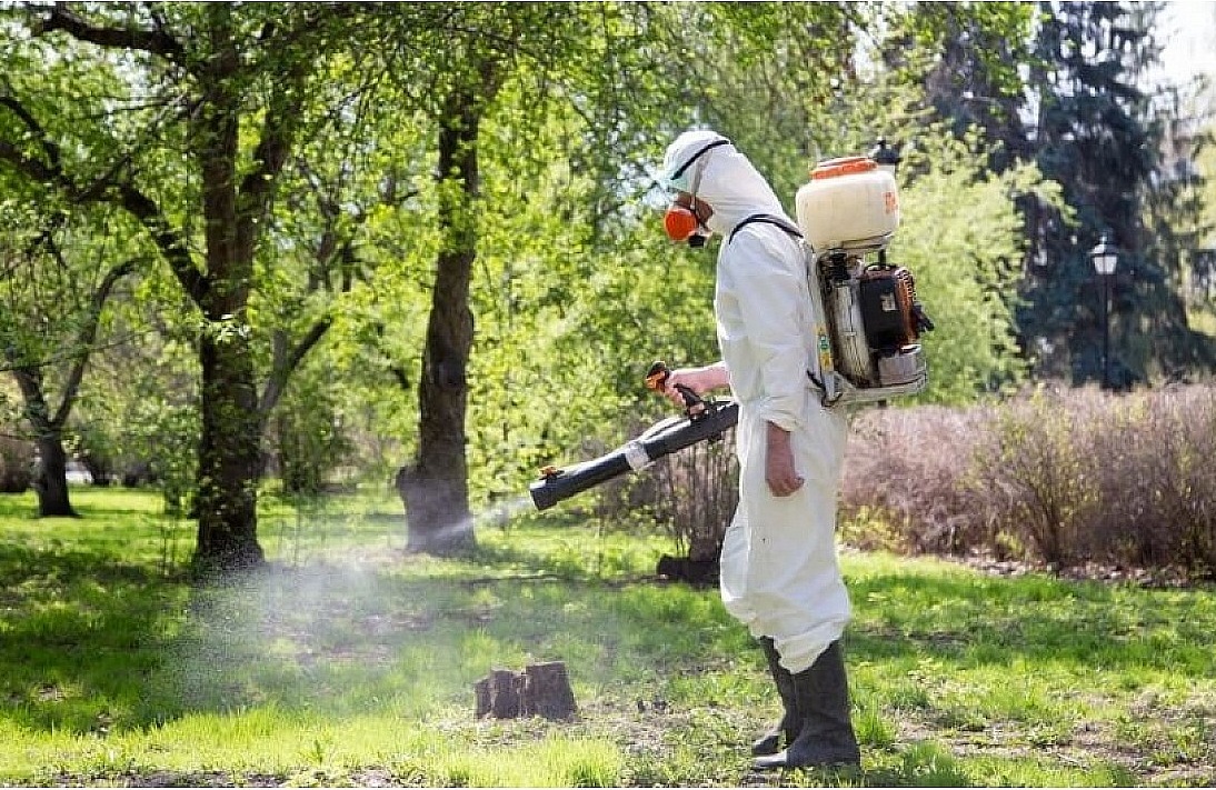 Вхiд на територiю кропивницького Дендропарку тимчасово заборонили