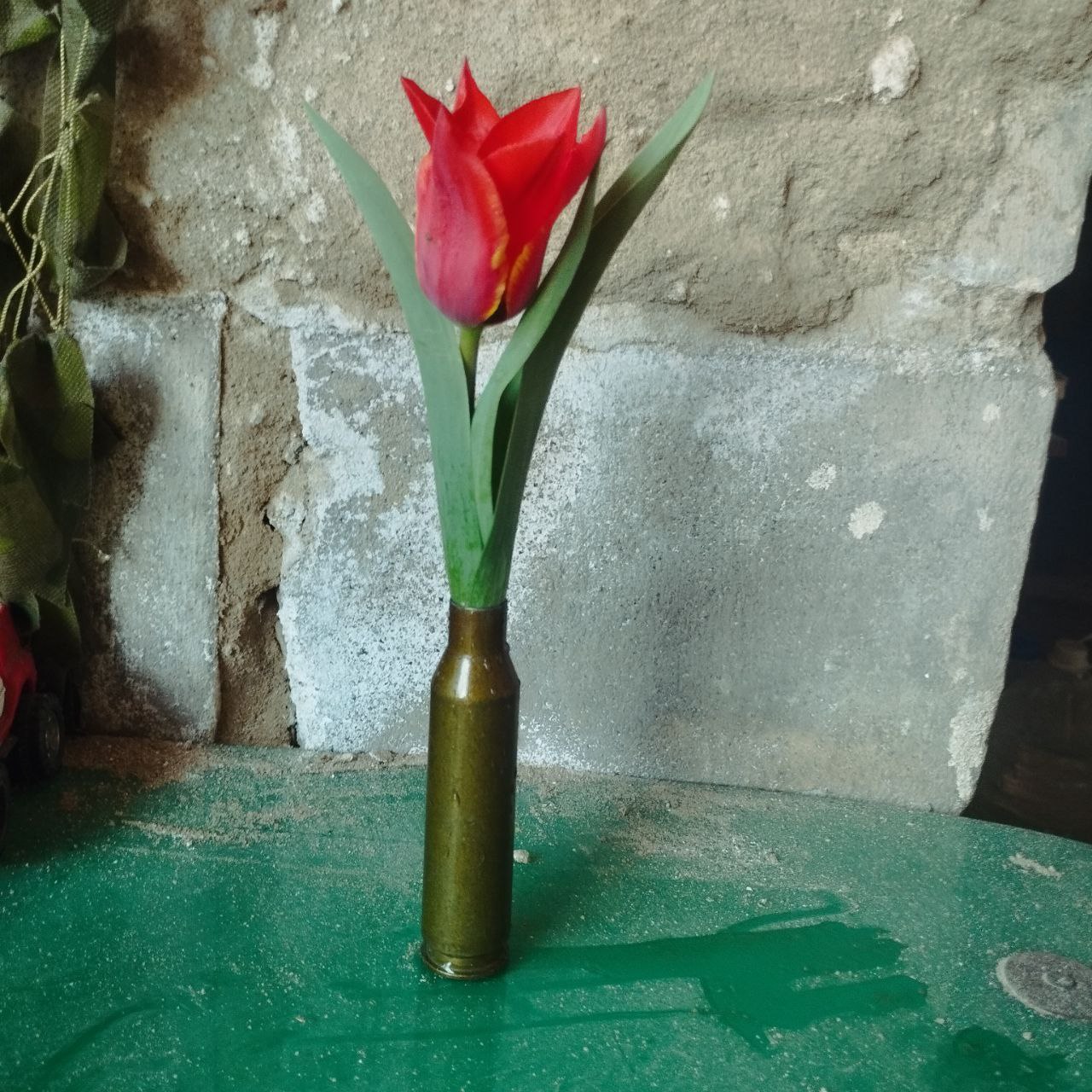 Весняні світлини з фронту: природа народжує, всупереч всьому (ФОТО)