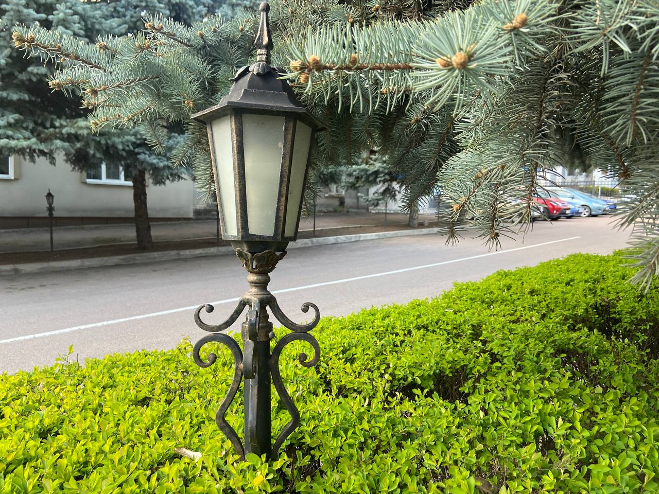 Весняне тепло повертається: Кропивницький розквітає (ФОТО)