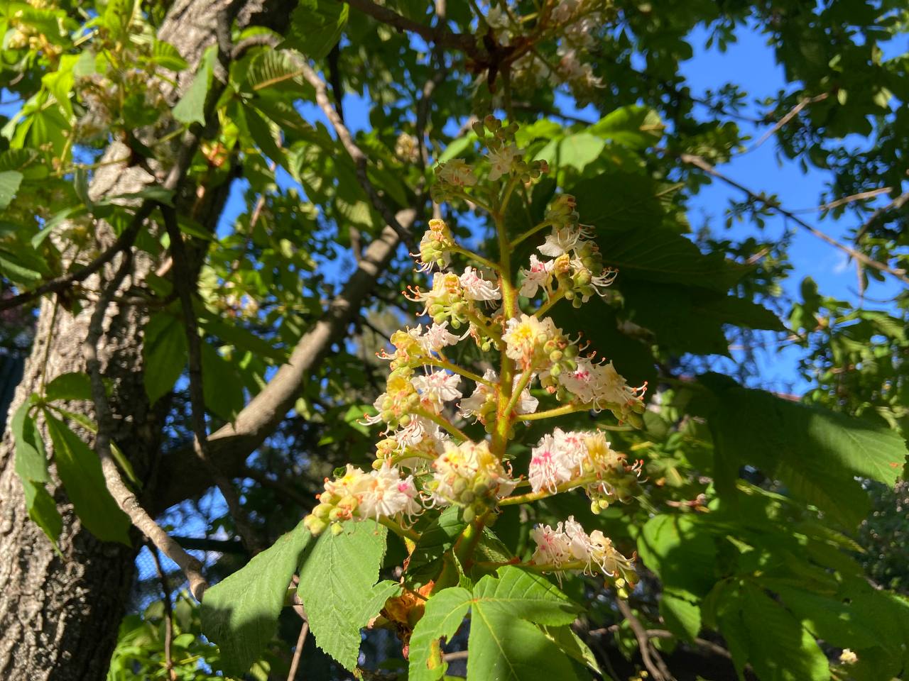 Прогноз погоди на 2 травня по Кіровоградщині