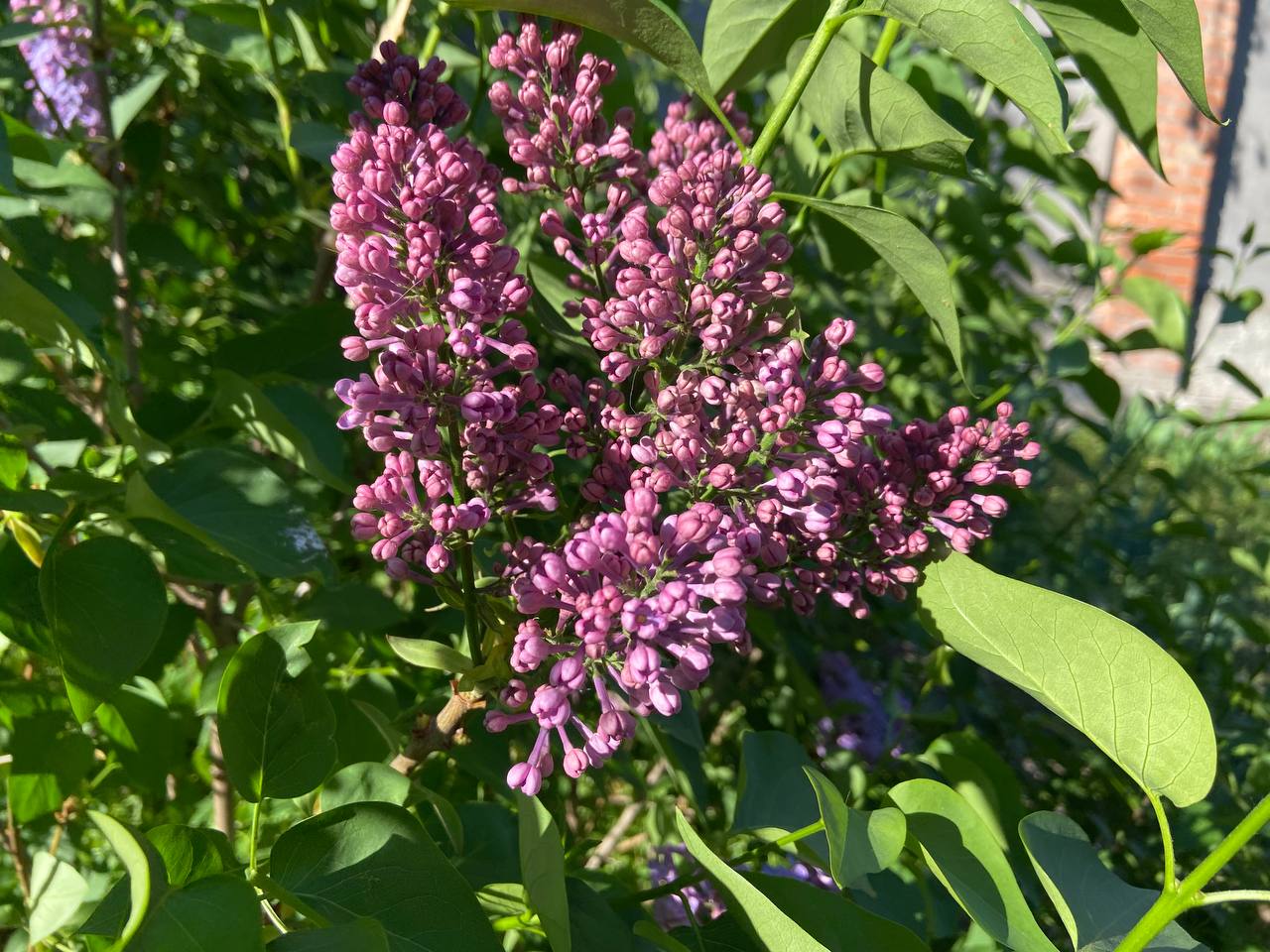 Прогноз погоди на 30 квітня по Кіровоградщині