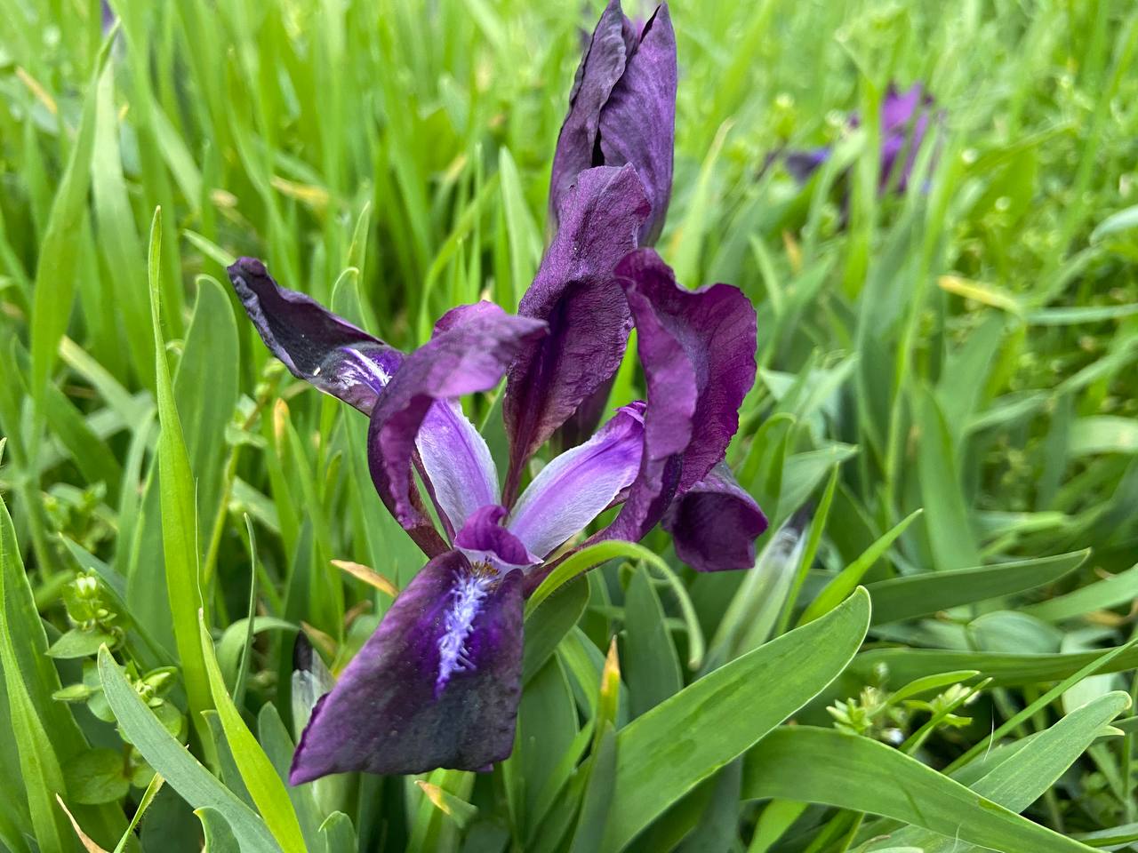 Прогноз погоди на 28 квітня по Кіровоградщині