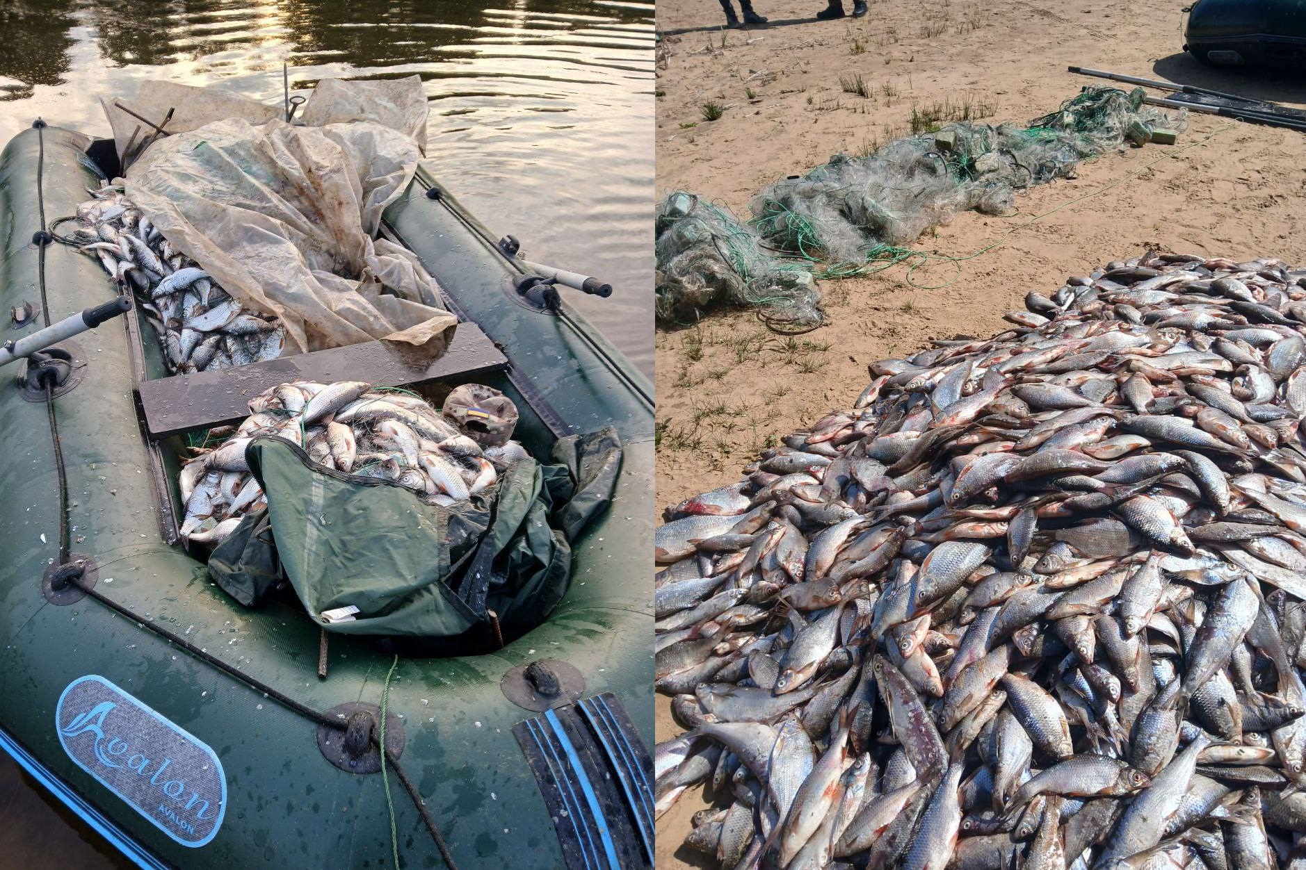 Рибалка-порушник з Кiровоградщини, наловив риби на понад шість мільйонів гривень