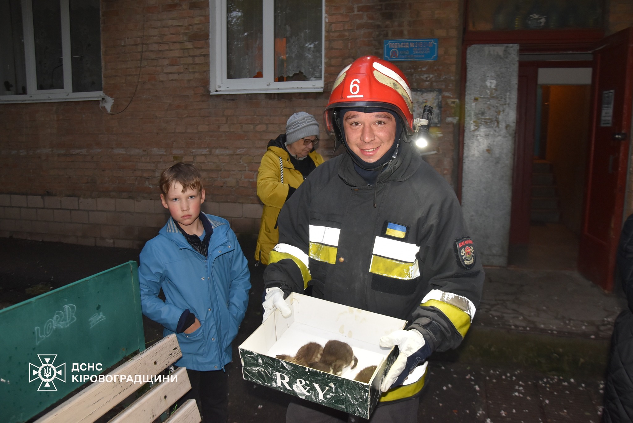 Маленьких кошенят врятували вiд вогню у Кропивницькому