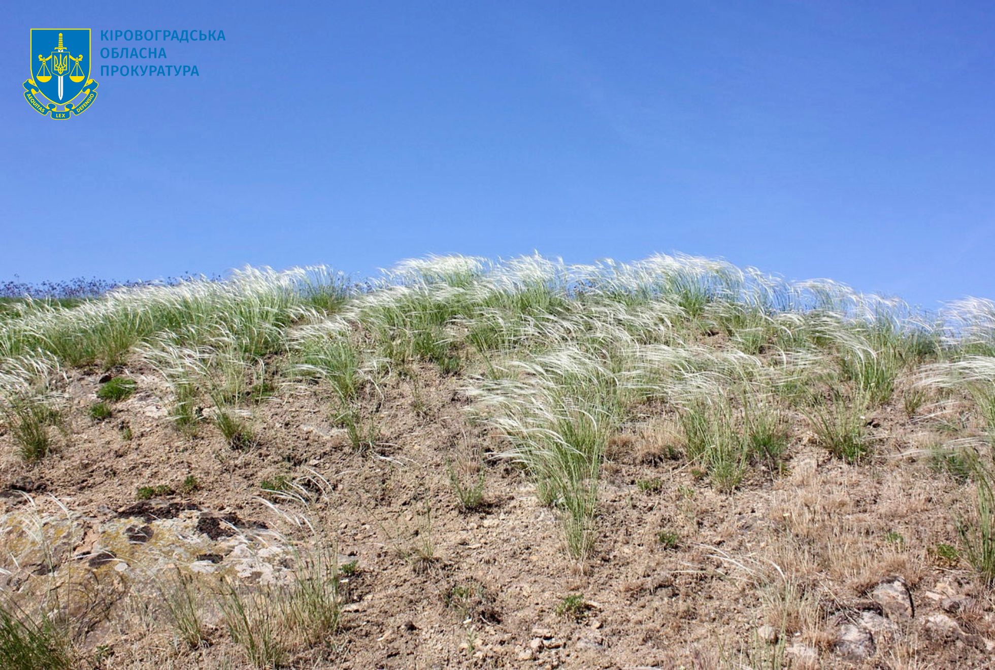 Земельну ділянку природно-заповідного фонду повернуть територіальній громаді на Кіровоградщині