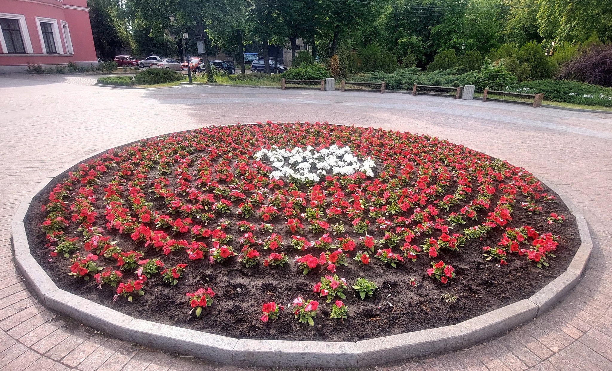 У Кропивницькому вандали покрали квiти та кущi