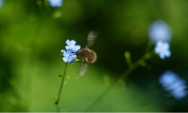 Прогноз погоди на 22 травня по Кіровоградщині