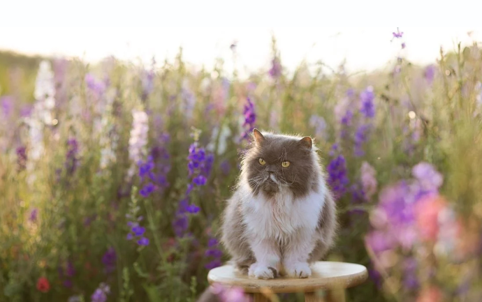 Прогноз погоди на 26 травня по Кіровоградщині