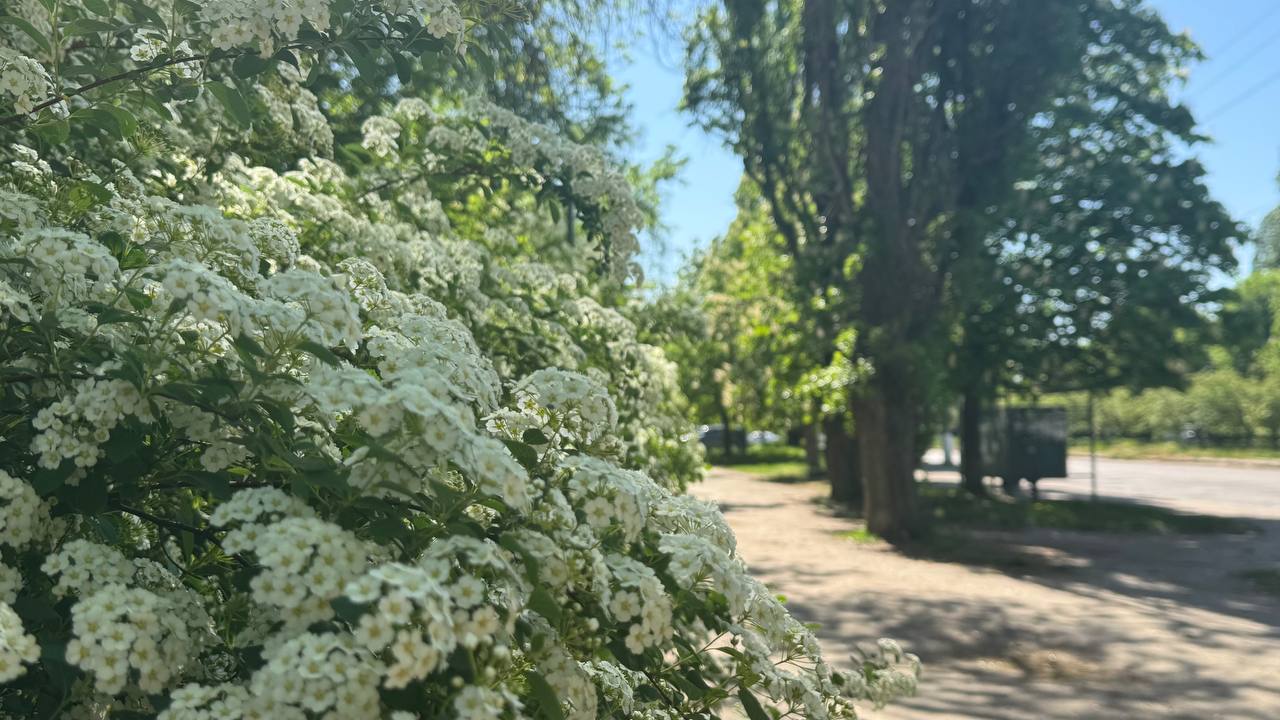 Прогноз погоди на 14 травня по Кіровоградщині