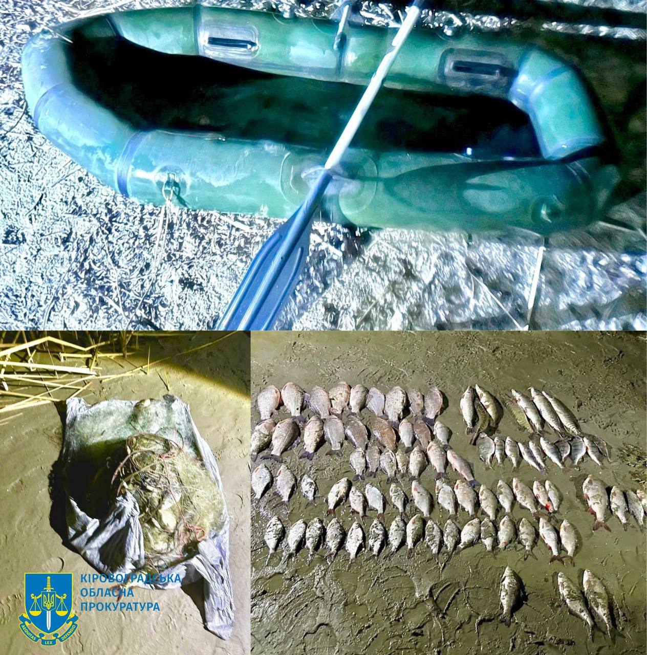 Житель Кіровоградщини незаконно наловив риби на майже 400 тисяч гривень