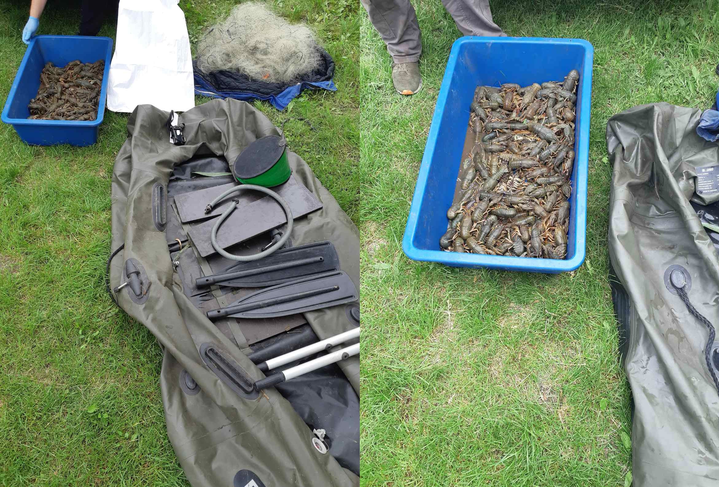 У Кропивницькому районі браконьєри наловили раків на майже півмільйона гривень