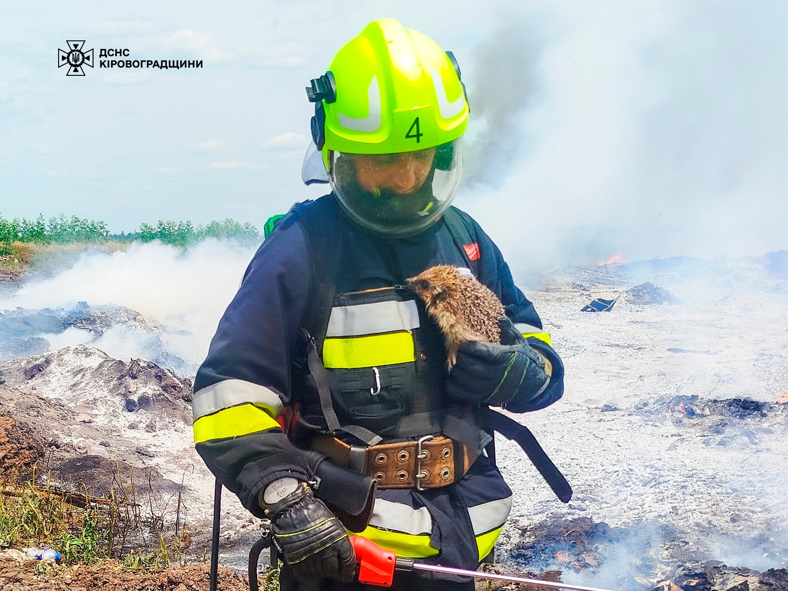 Надзвичайники Кiровоградщини врятували їжачка