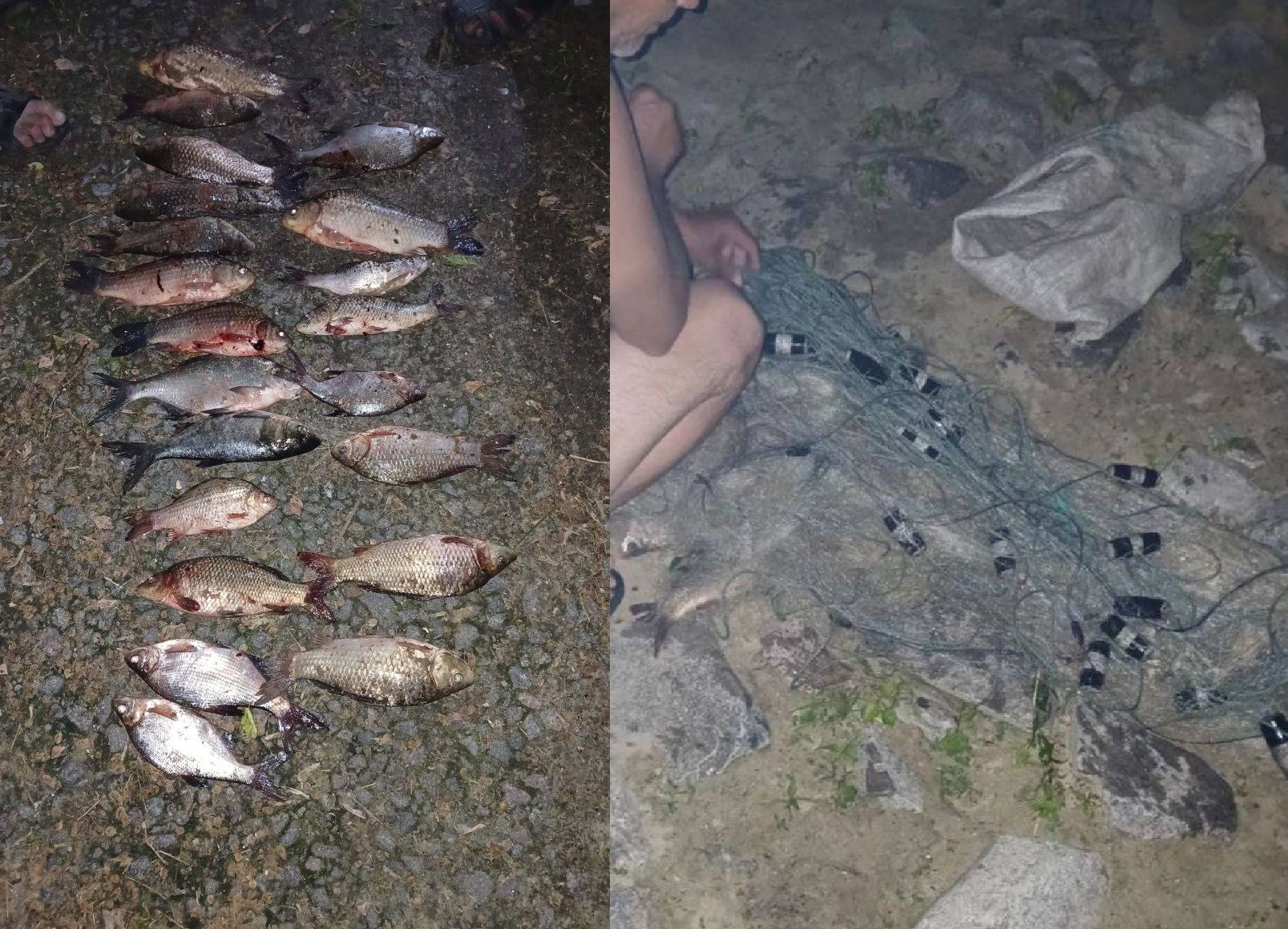 Житель Кiровоградщини незаконно ловив рибу сіткою