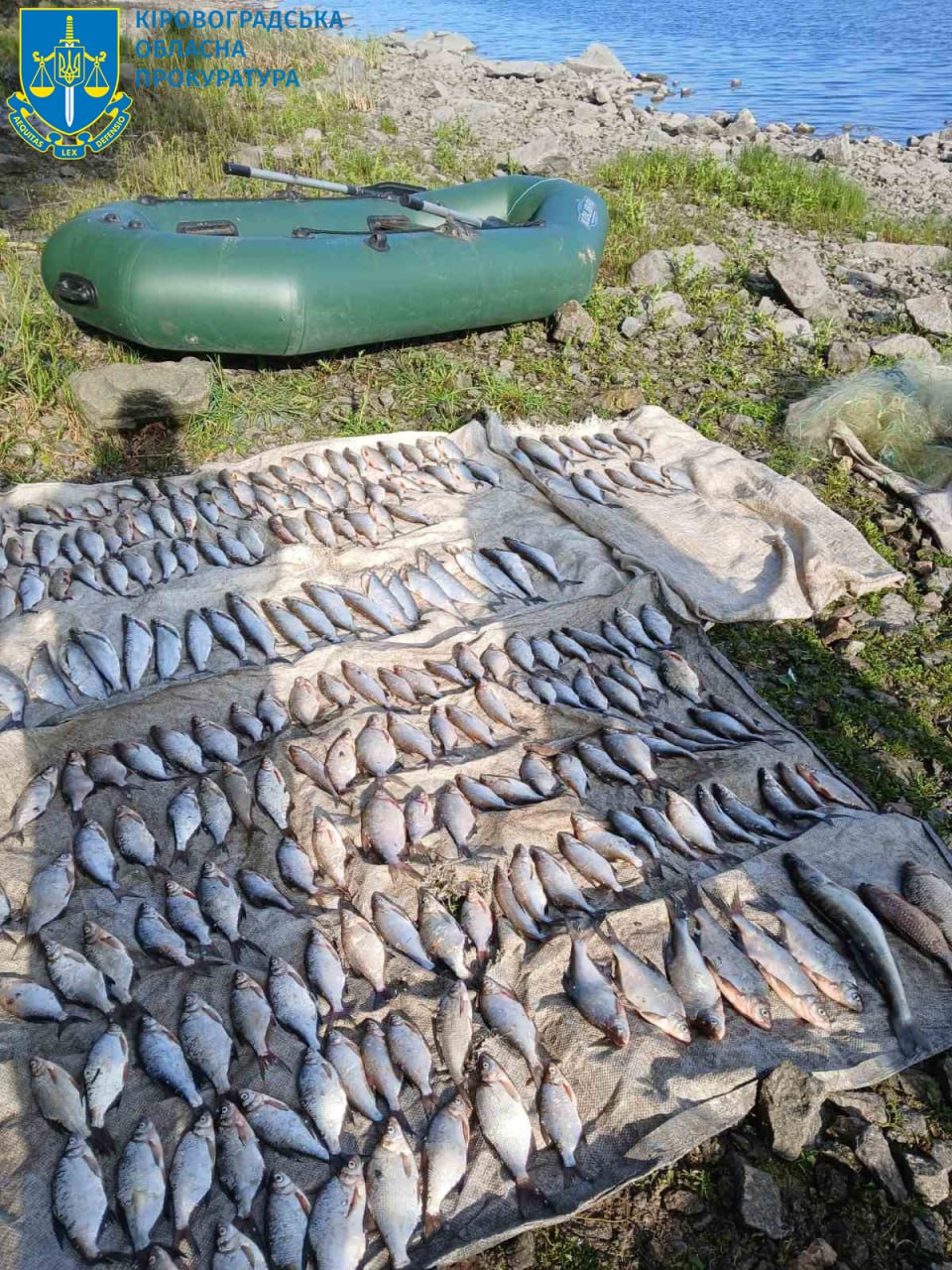 Рибалка-порушник незаконно наловив риби на понад 300 тисяч гривень