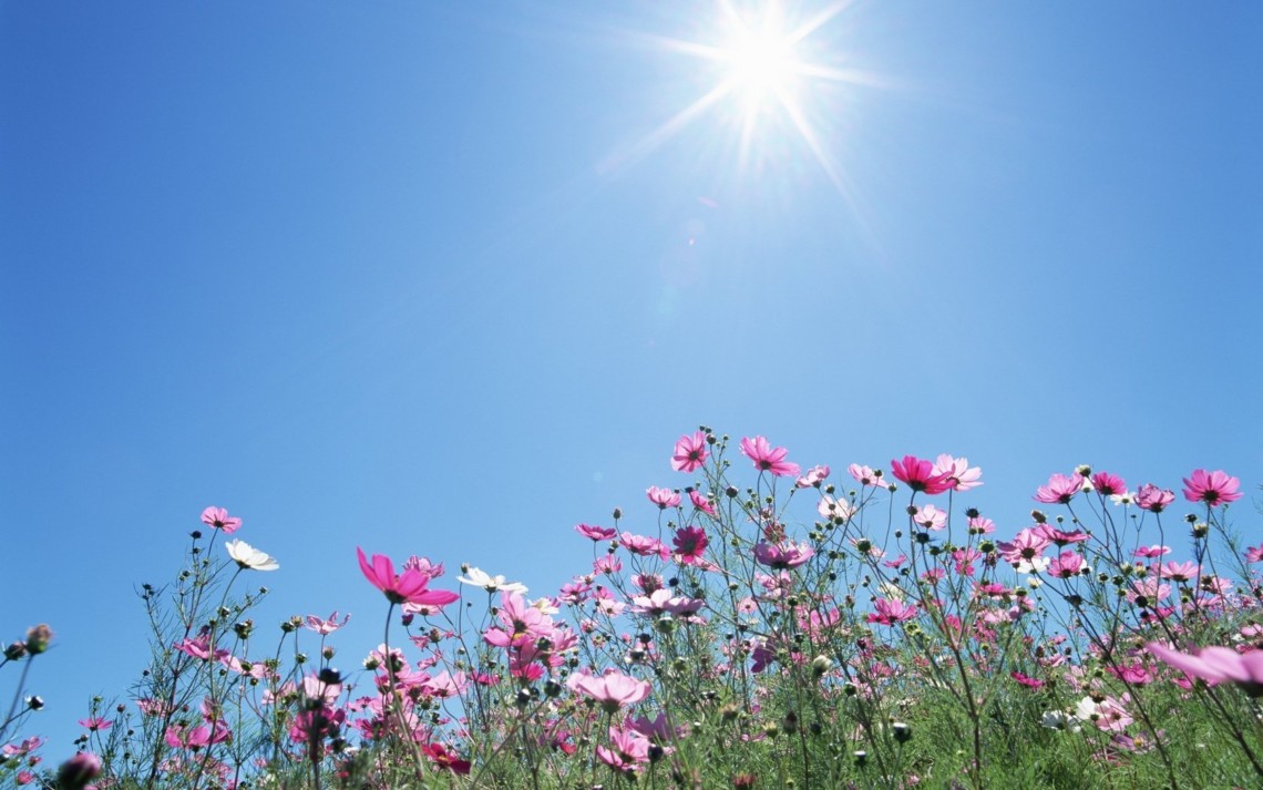 Прогноз погоди на 9 липня по Кіровоградщині