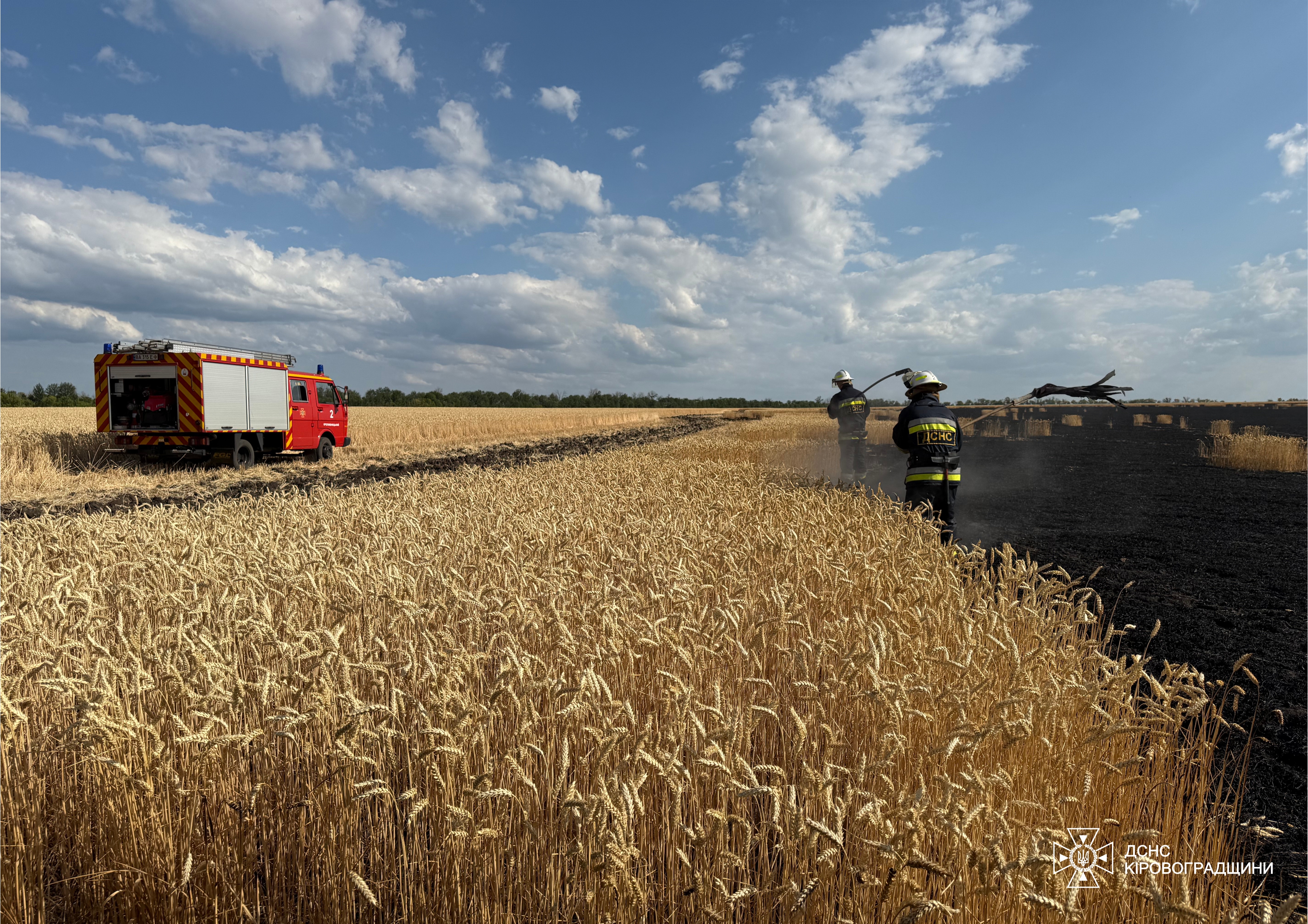 У Кропивницькому районi загорiлася пшениця