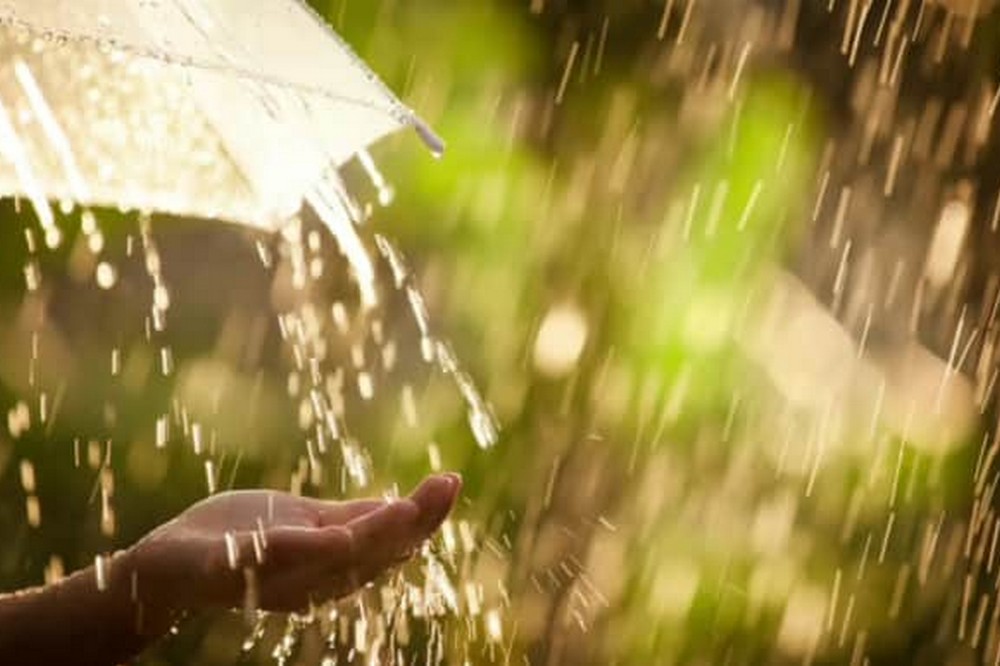 Прогноз погоди на 18 липня по Кіровоградщині