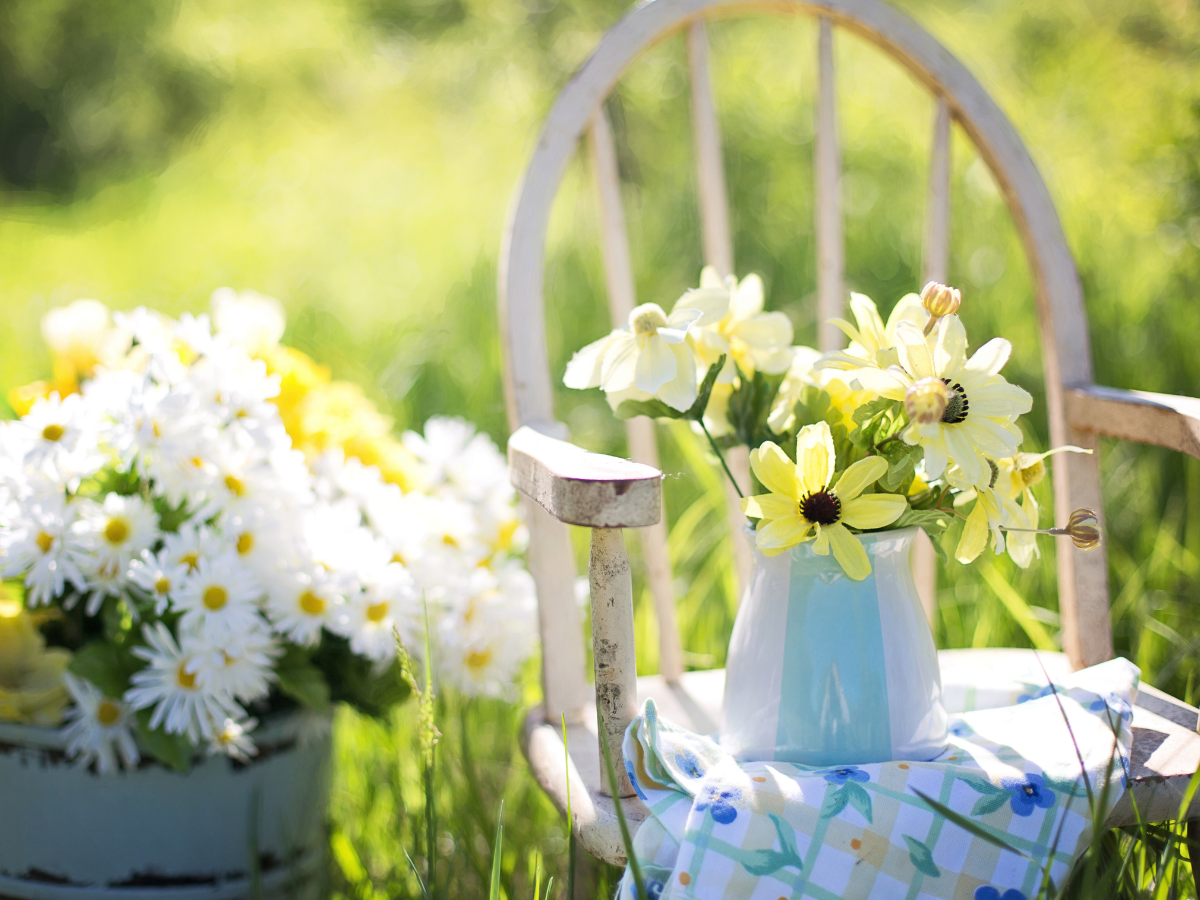 Перші серпневі вихідні: сонце, спека й трохи дощу — як провести ці дні з комфортом