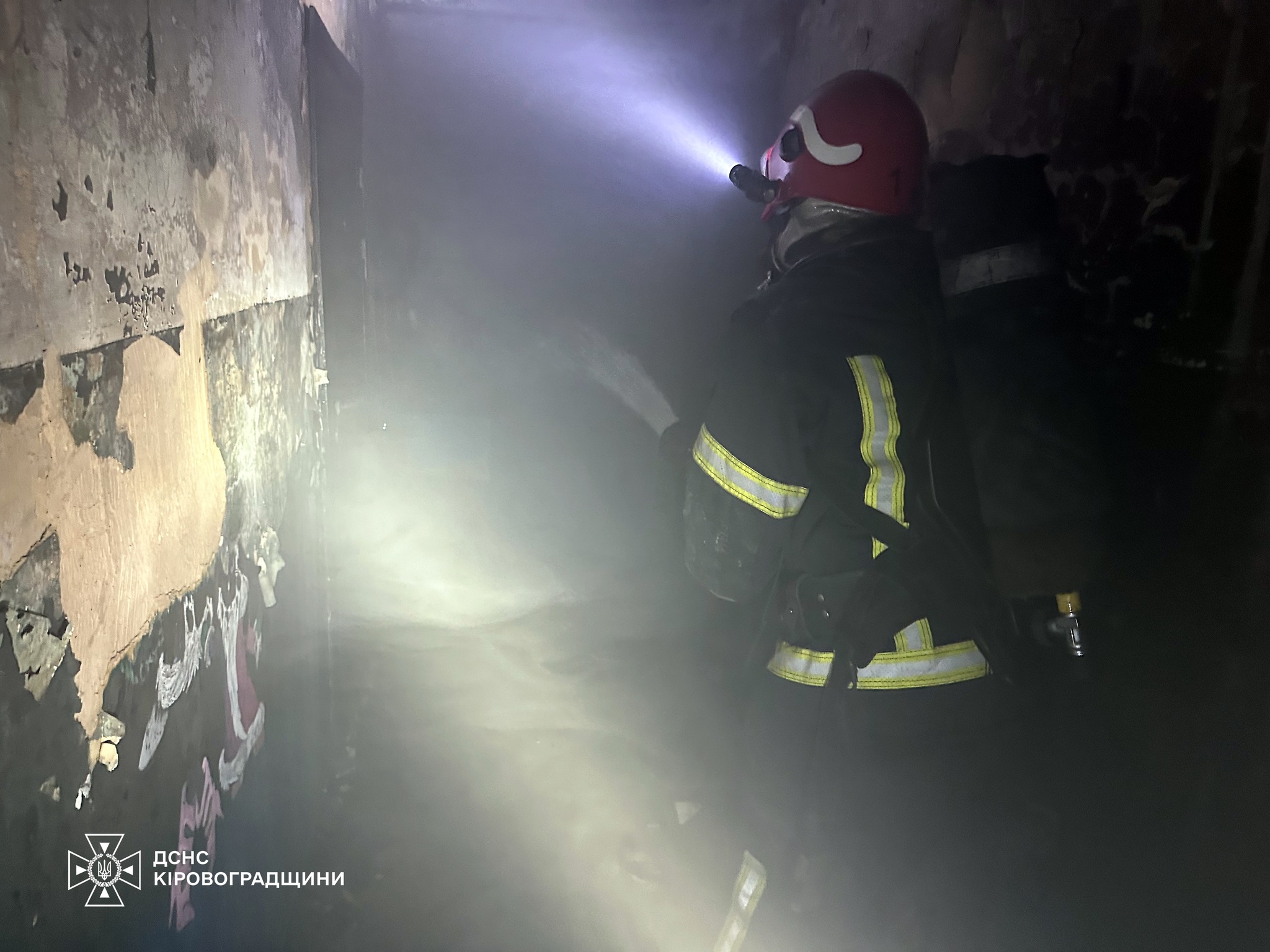 У Кропивницькому за допомогою автодрабини евакуювали з палаючого будинку двох дітей