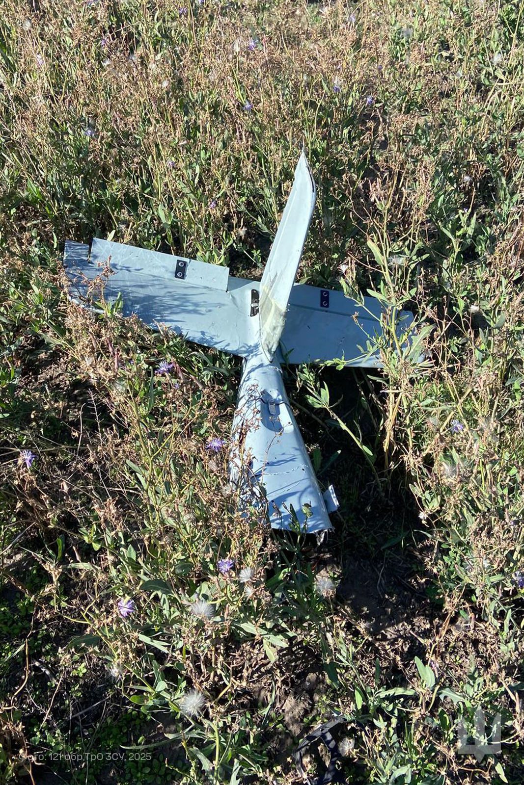 Перехоплювачі Кропивницьких тероборонівців знешкодили ворожий дрон
