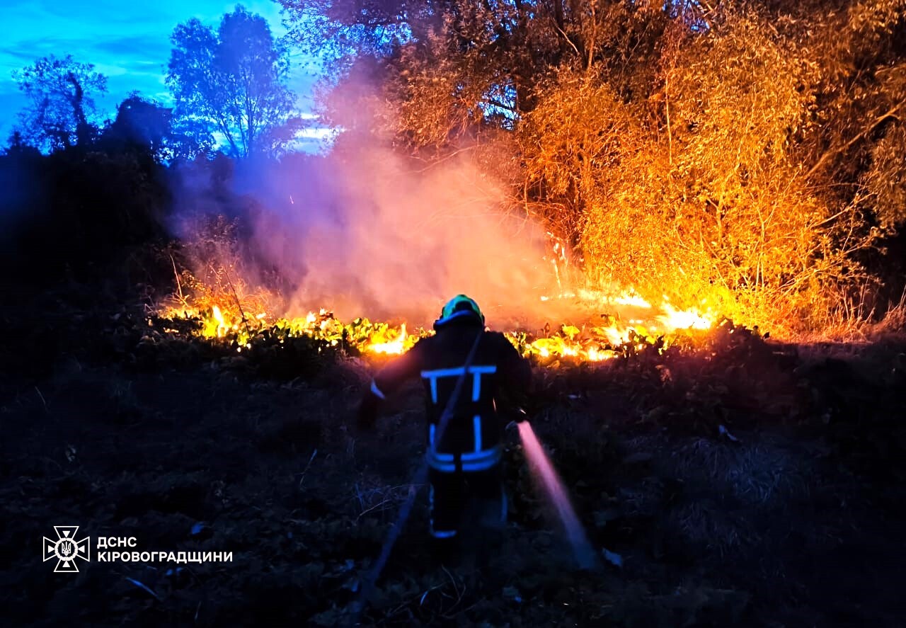 На Кіровоградщині згорів автомобіль