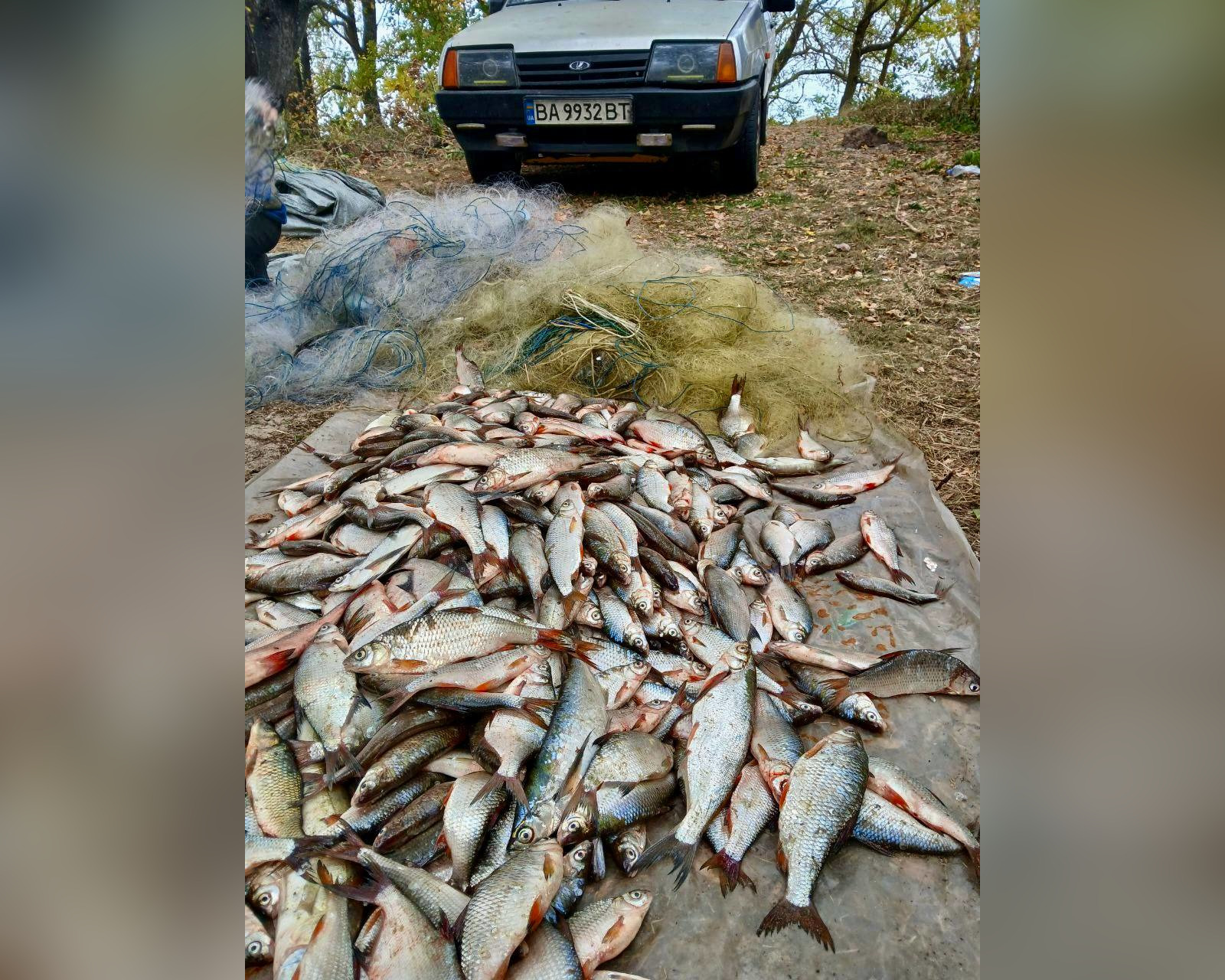 Порушник наловив риби у водосховищі Кіровоградщини на майже 900 тисяч гривень