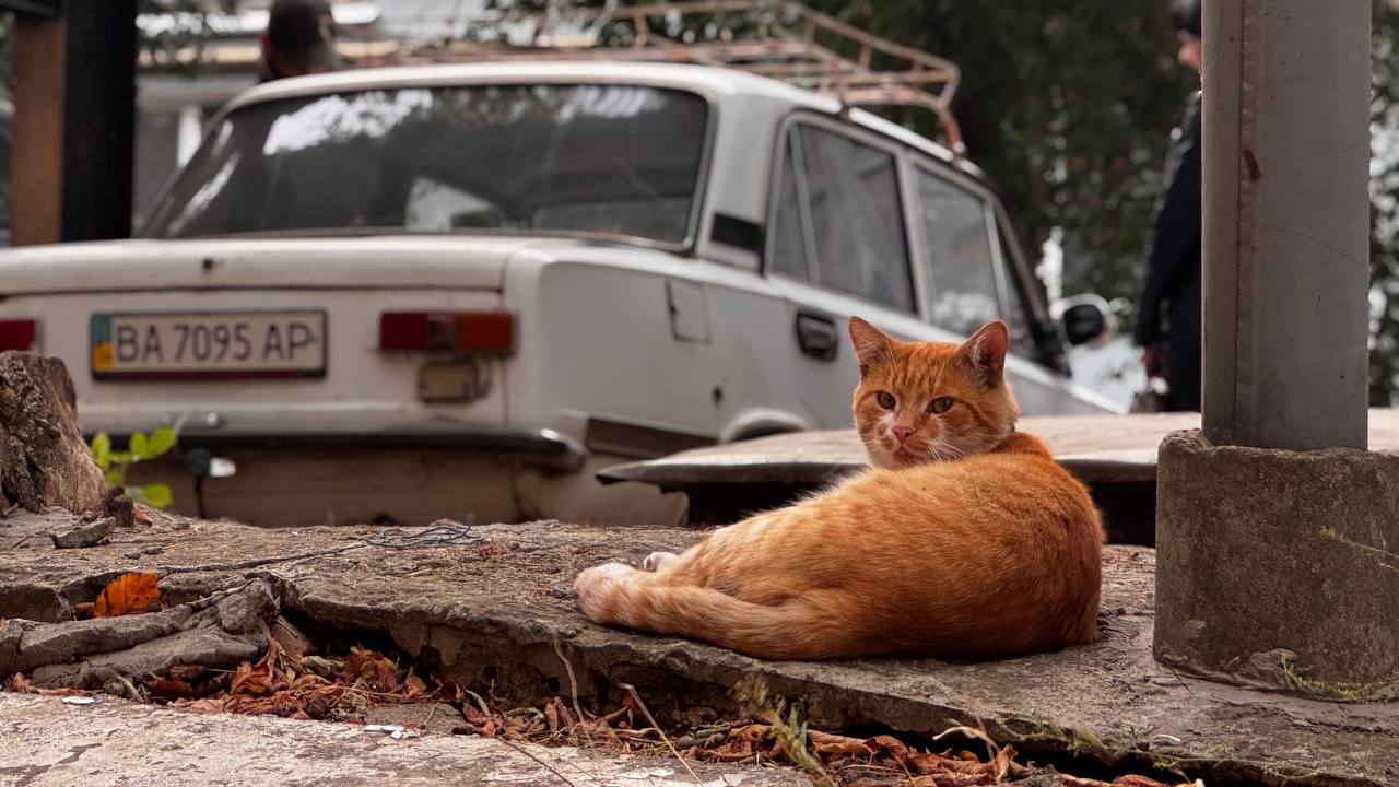 На Кіровоградщині сьогодні знову буде хмарно та без опадів