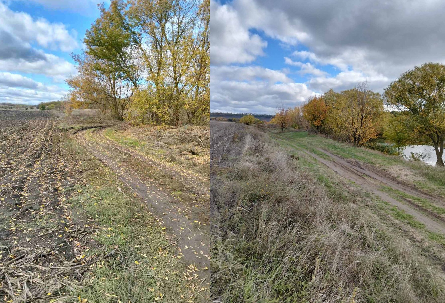 У громаді на Кіровоградщині аграрію “не вистачило” землі