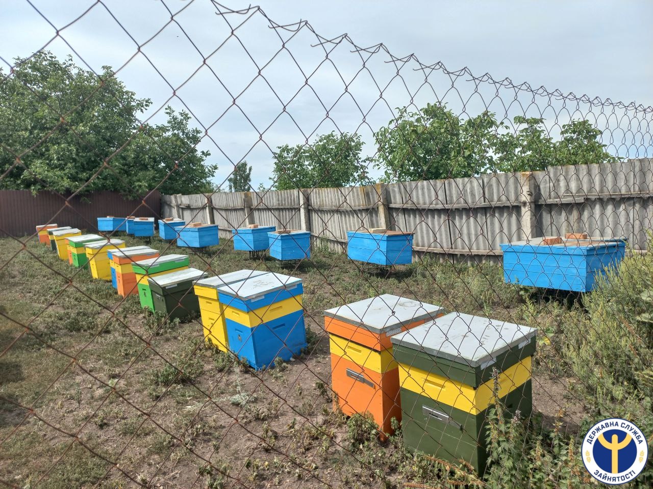 Життя після служби: історія ветерана з Кіровоградщини, що надихає працювати і жити