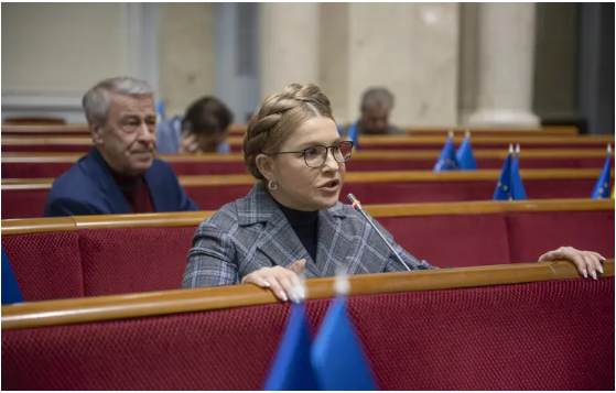 Обезземелення українців і чергова корупційна годівниця для влади, – Юлія Тимошенко про законопроєкт 13202-1