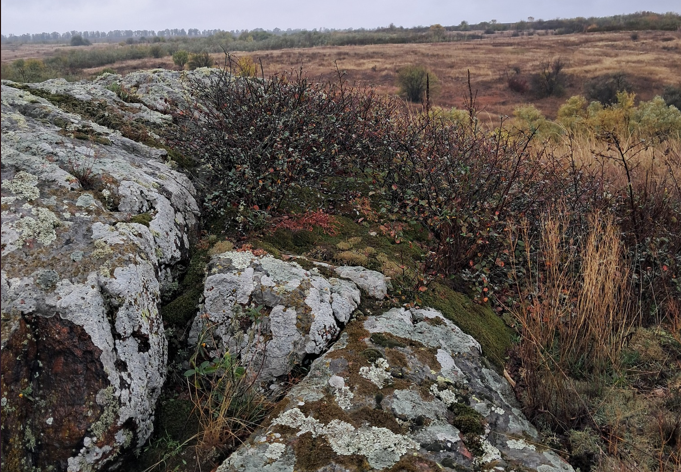 Унікальний кам’яний степ знайшли на Кіровоградщині
