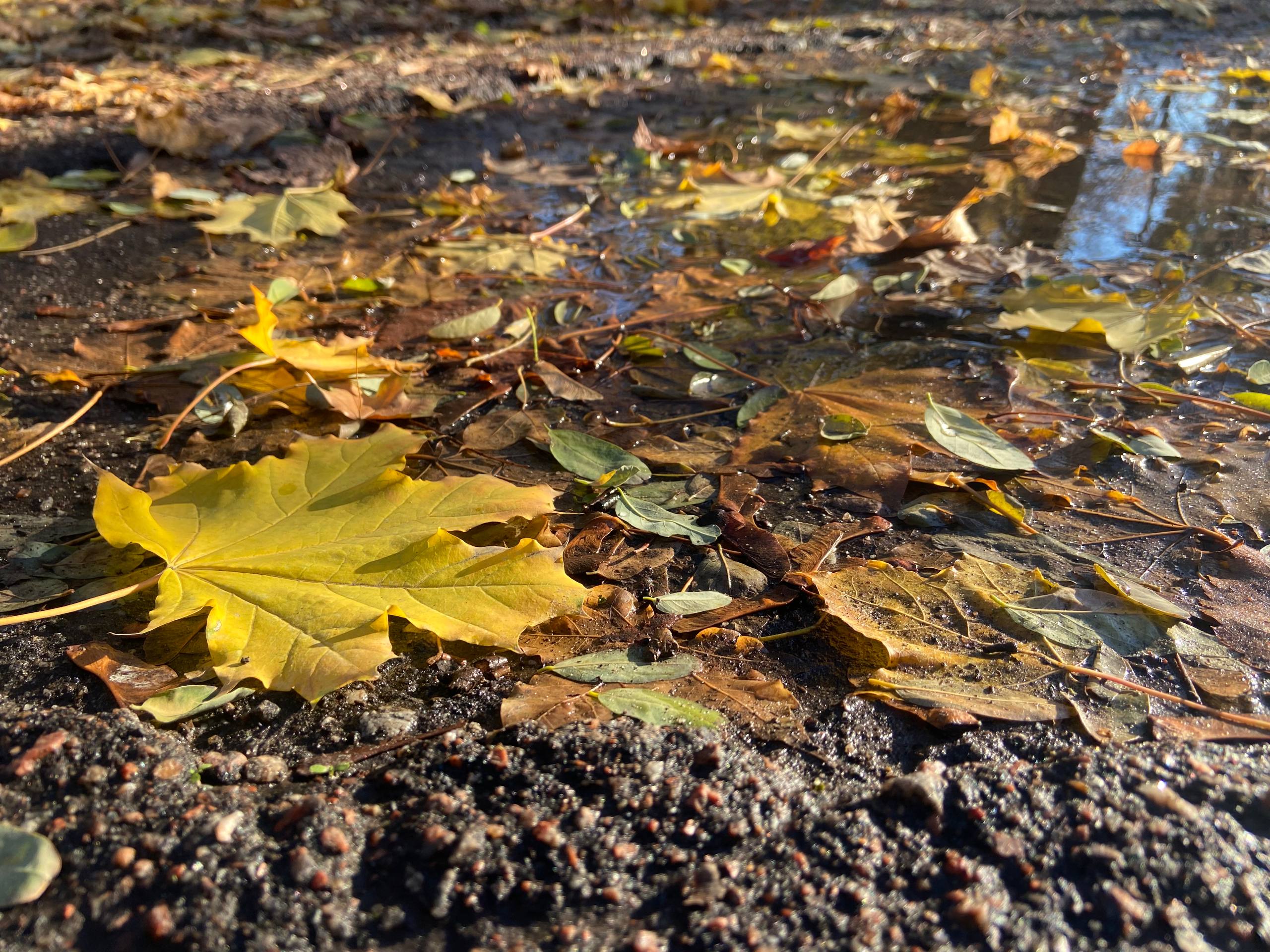 На Кіровоградщині сьогодні буде хмарно та без опадів