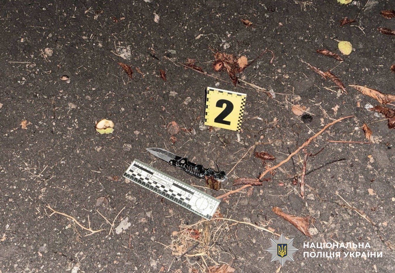 У Кропивницькому чоловік зарізав незнайомця, іншого поранив