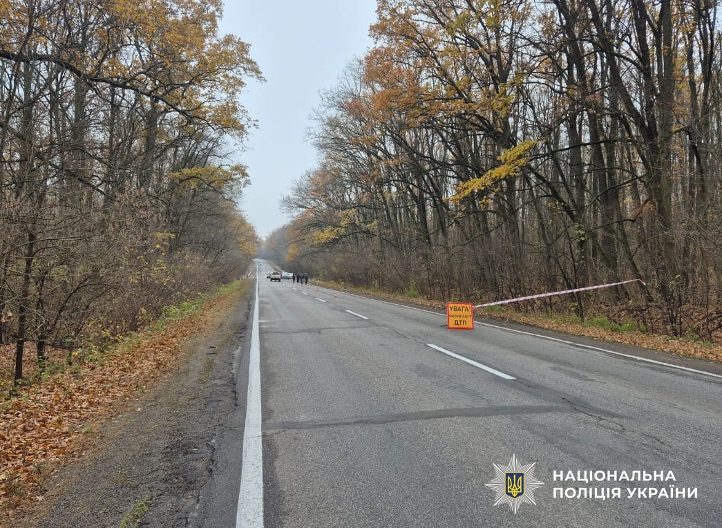 На Кіровоградщині водій збив людину та втік з місця ДТП