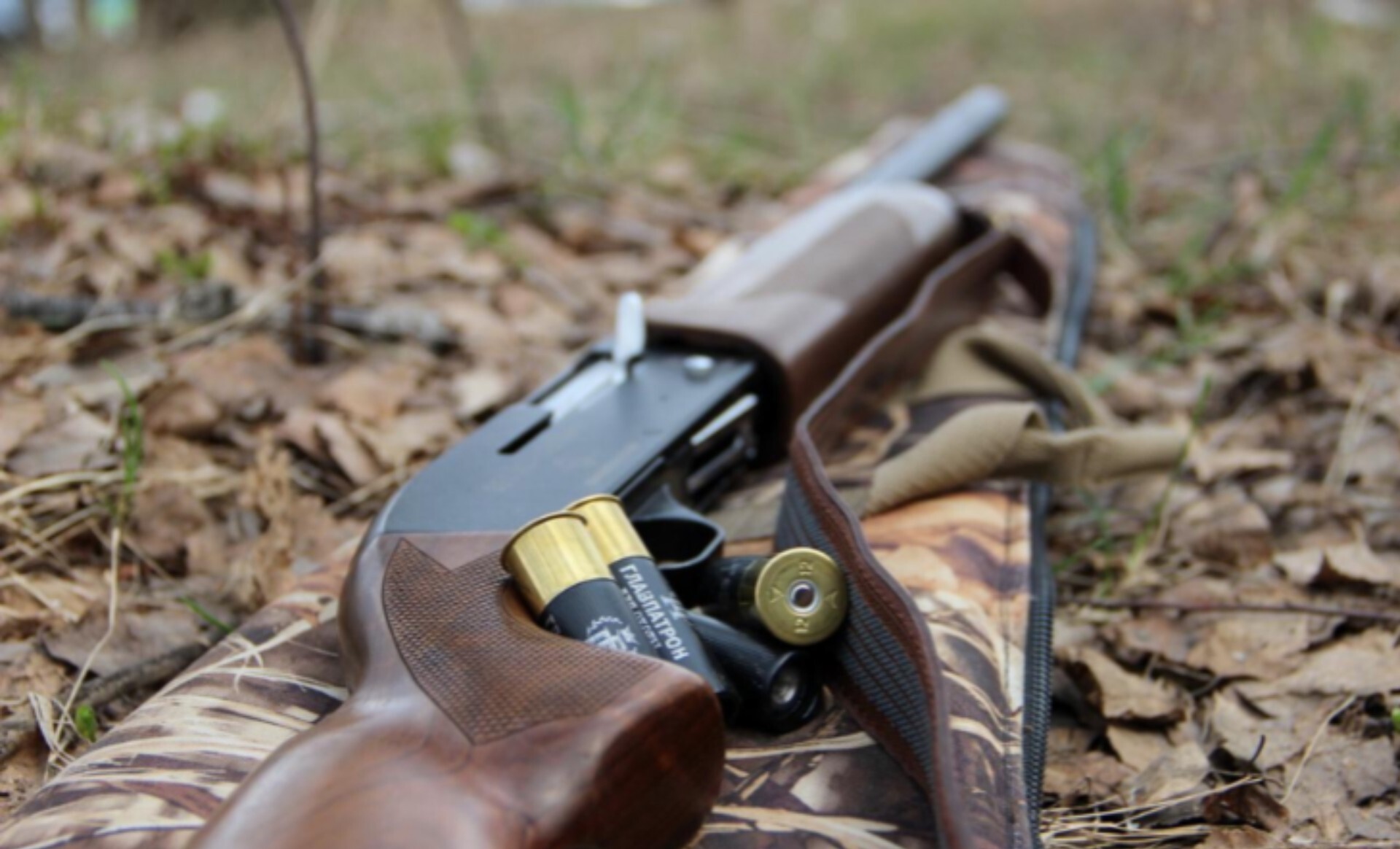 Відстріл тварин на Кіровоградщині: людей просять зберігати спокій