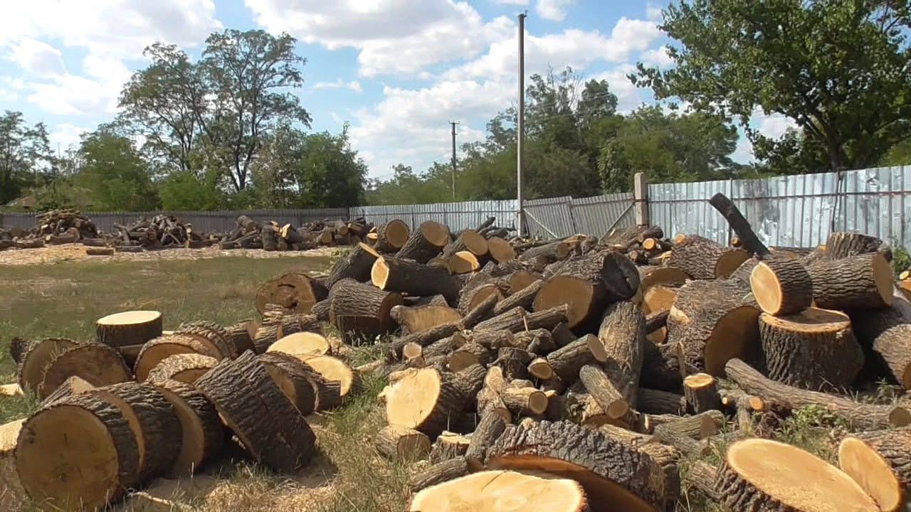 Житель Кіровоградщини незаконно нарубав лісу на понад мільйон гривень