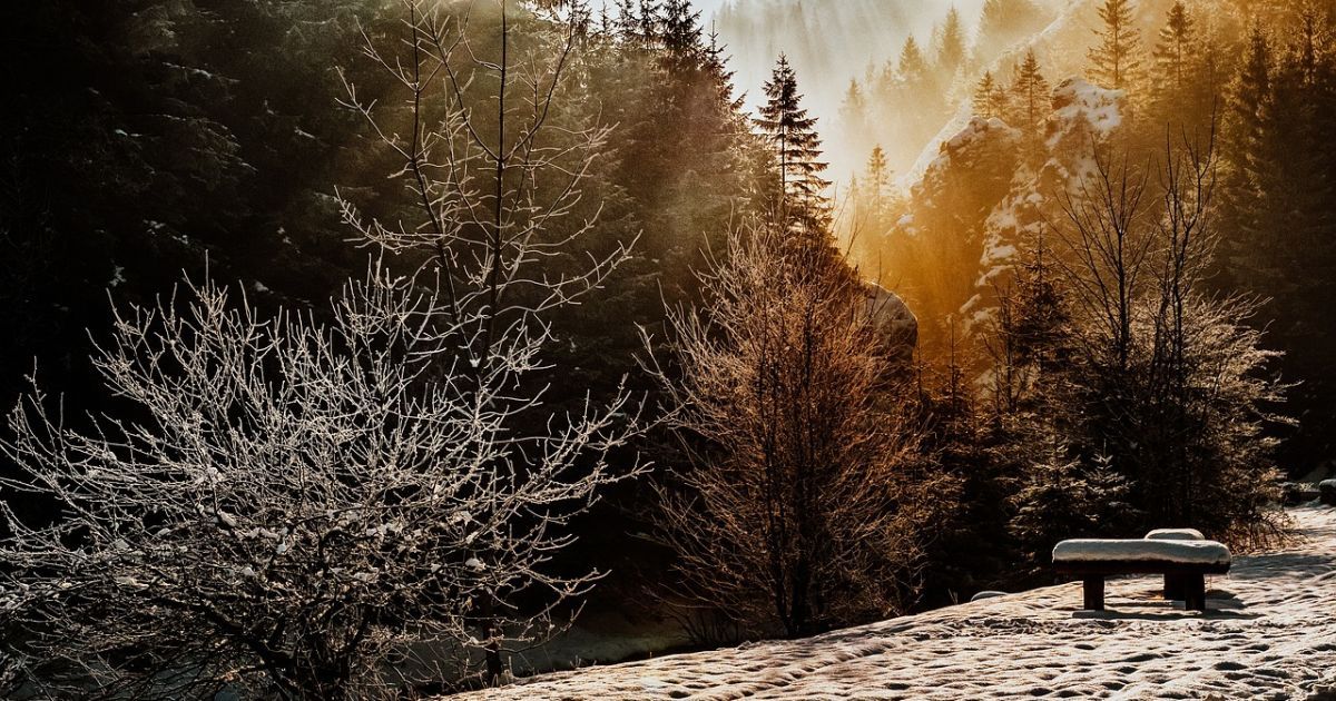 Прогноз погоди на 29 грудня по Кіровоградщині