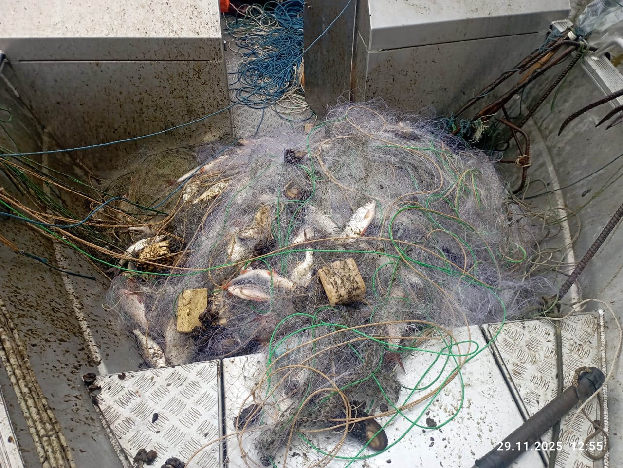 На Кіровоградщині з водосховища вилучили сітки з рибою, які розставили бракон’єри