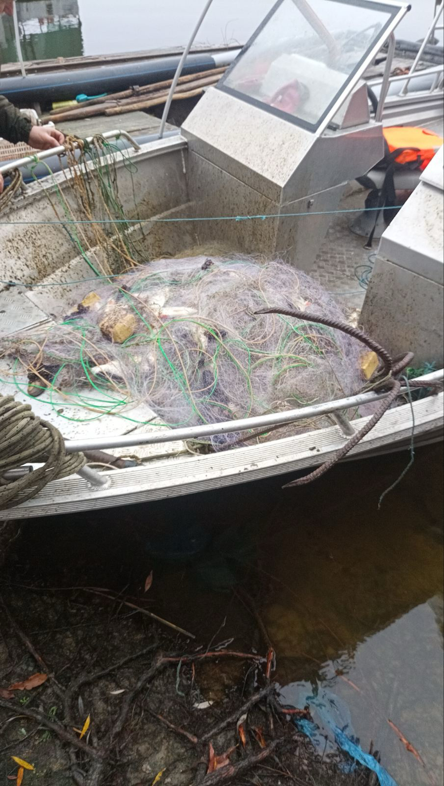 На Кіровоградщині з водосховища вилучили сітки з рибою, які розставили бракон’єри