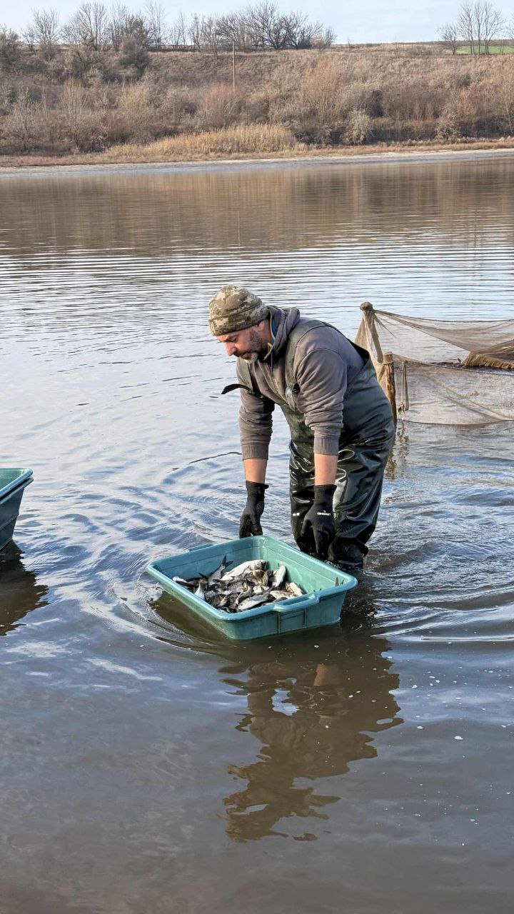 Водосховище на Кiровоградщинi зарибили товстолобом