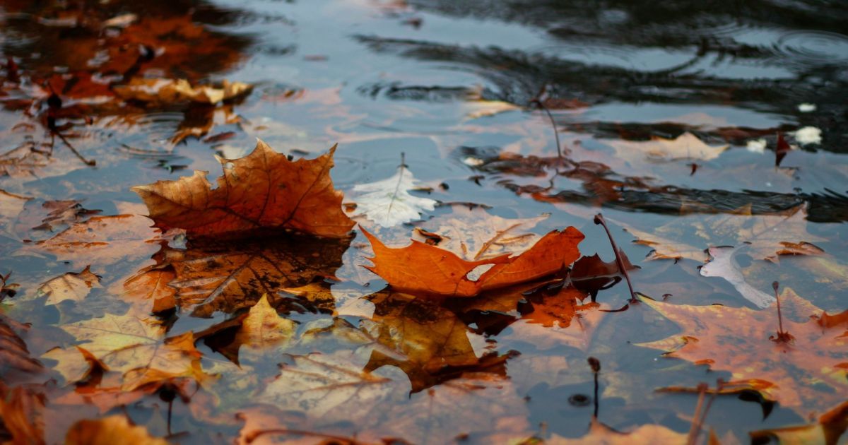 Прогноз погоди на 4 грудня по Кіровоградщині