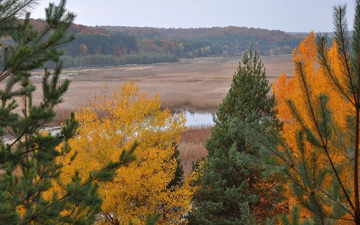 На Кiровоградщинi громаду зобов’язали встановити межi заповiдного урочища «Балка Куца»