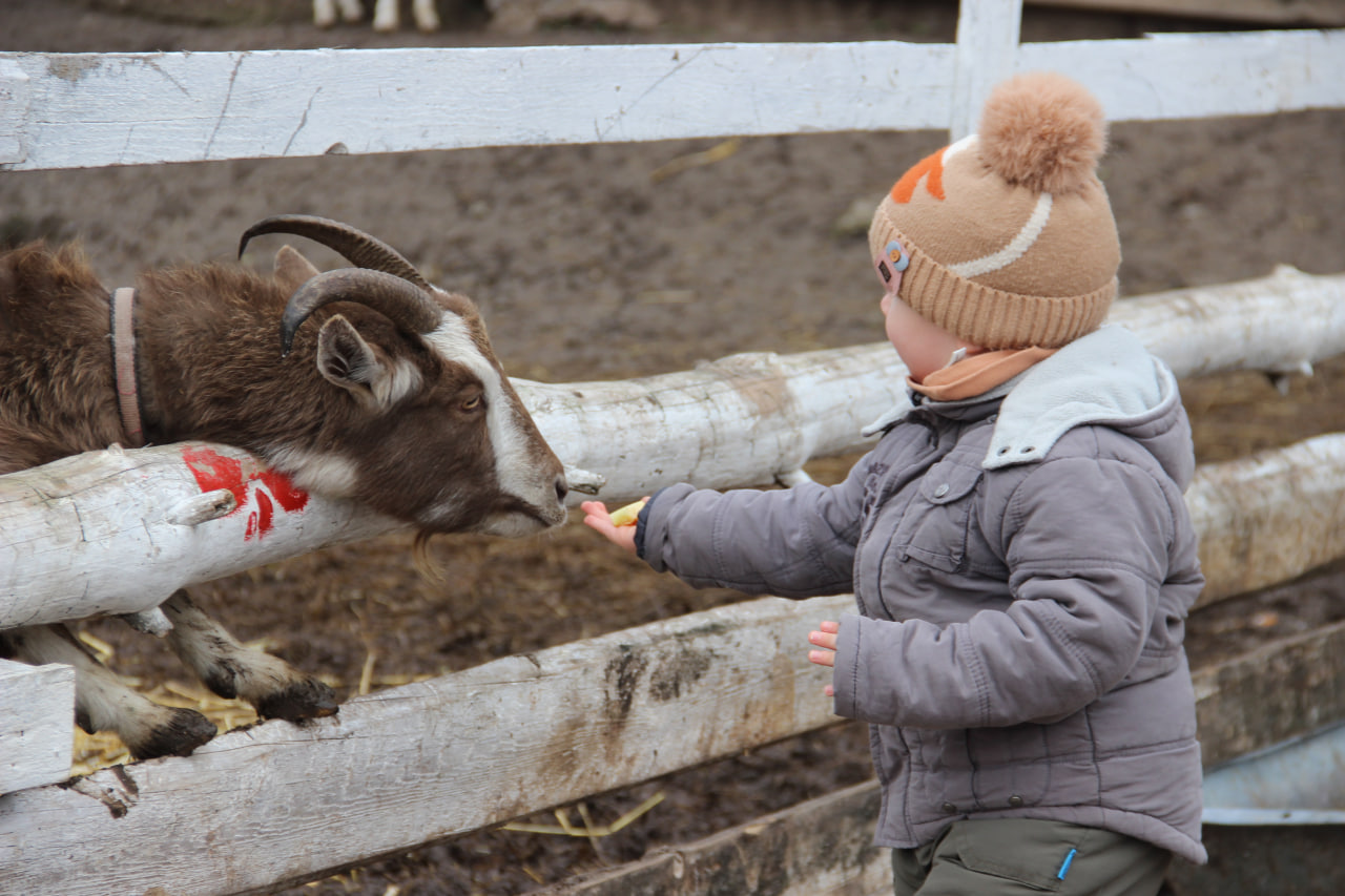 У Кропивницькому малечі та дорослим влаштували свято серед тварин і сюрпризів (ФОТО)