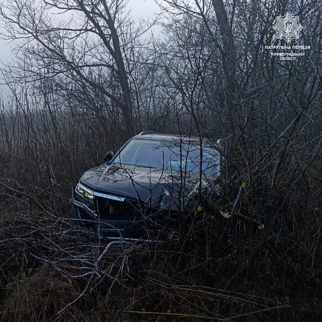 Водiй наїхав на дерево, поблизу Кропивницького