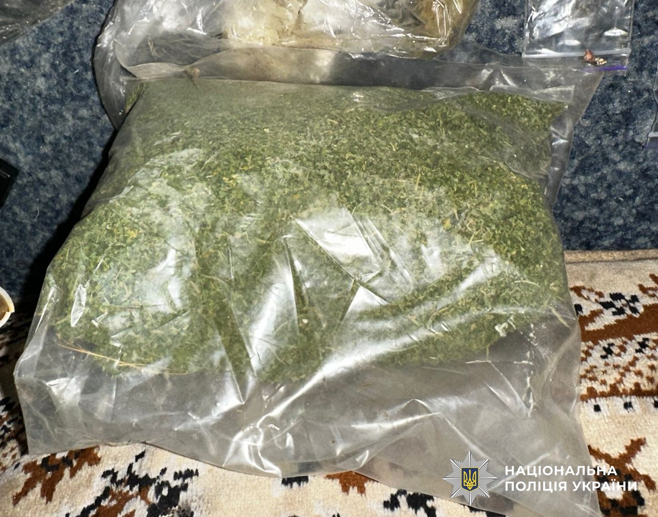 Пакет канабісу та психотропи: на Кіровоградщині викрили наркопродавця